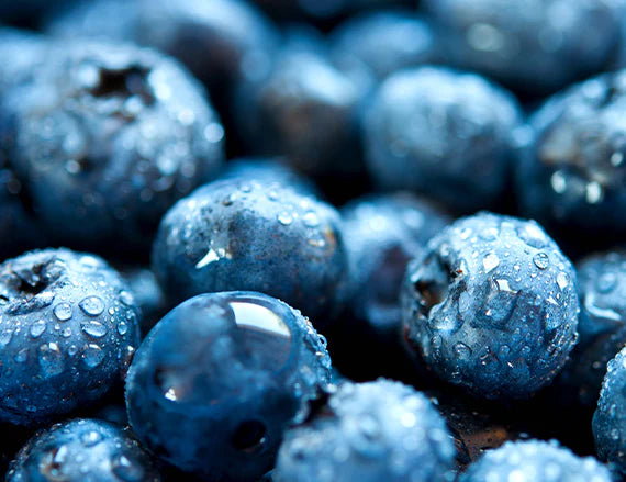 Blueberries