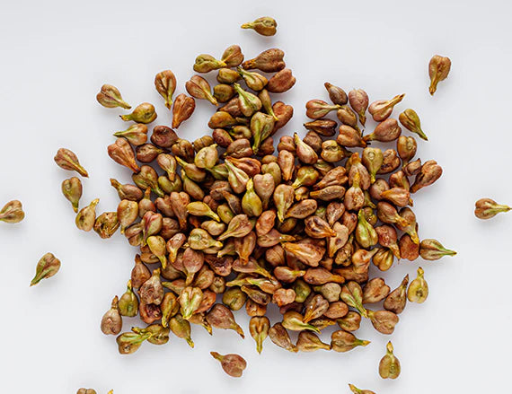 Grape Seeds