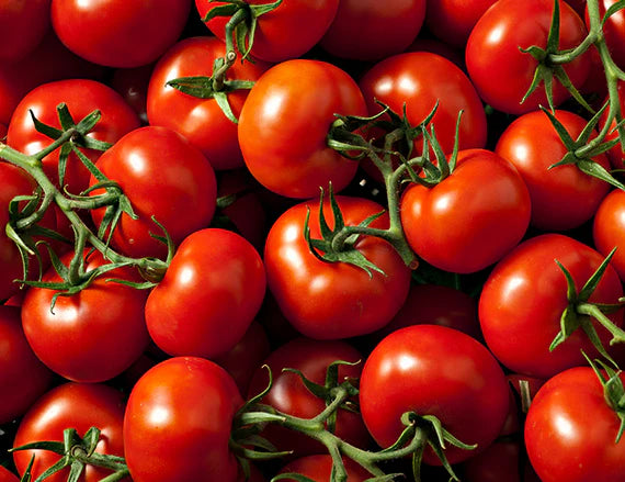 Lycopene