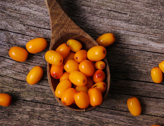 Sea Buckthorn